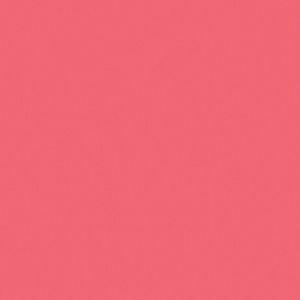 Meet your Posher, Hafsa